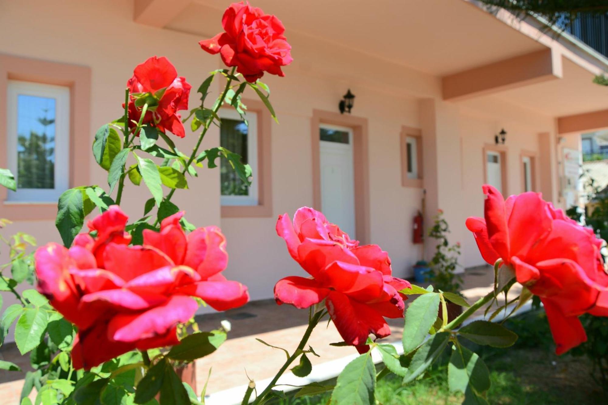 Red Rose Garden Appartement Tsilivi  Buitenkant foto