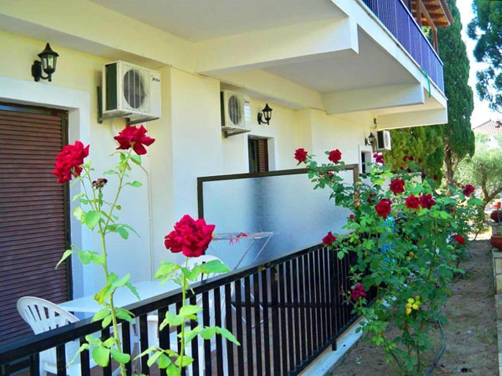 Red Rose Garden Appartement Tsilivi  Buitenkant foto